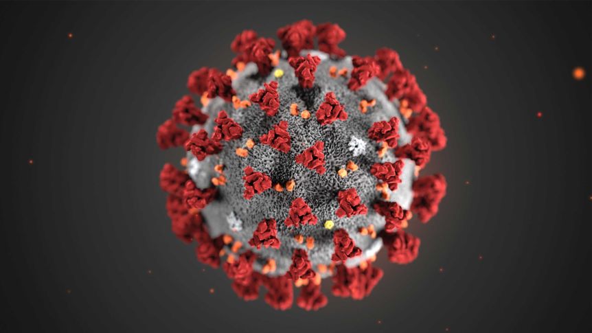 Apollo Bay detects viral coronavirus fragments in sewer